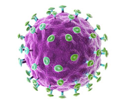 Вирус папилломы человека - его опасность для мужчин и женщин