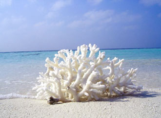 Коралловый пилинг