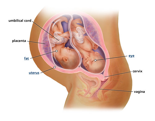 Причины, лечение маловодия у беременных