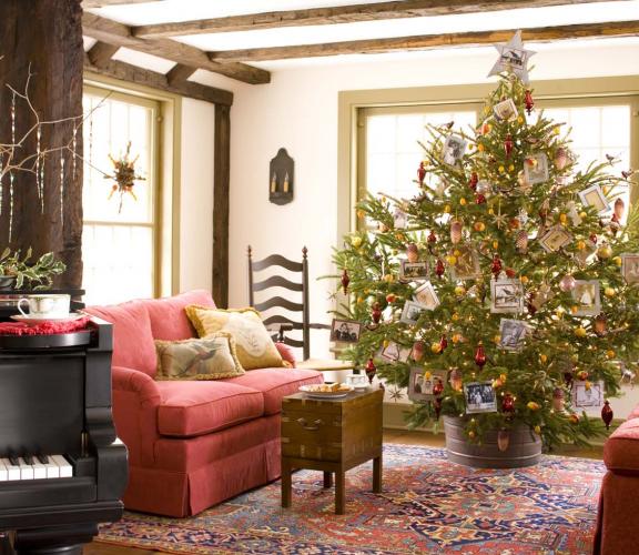 Основные правила выбора и установки живой новогодней елки