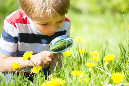 Тематические прогулки с детьми 2-5 лет - изучаем насекомых