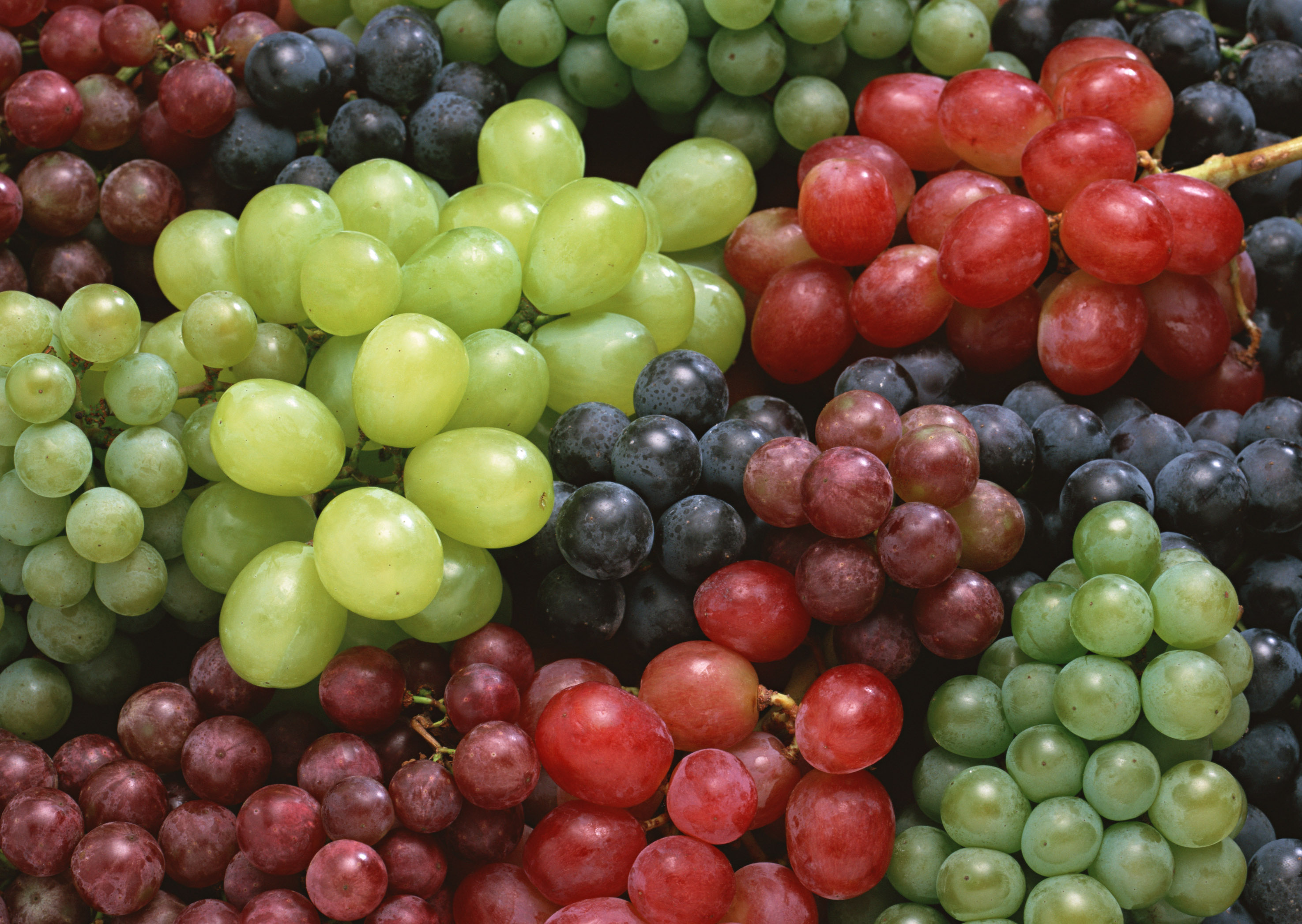 Самые полезные продукты для женского здоровья - виноград
