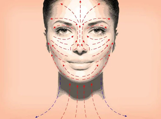 Линии правильного нанесения косметики на зоны лица и шеи
