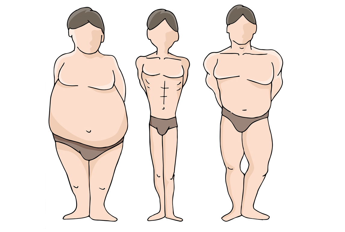 Основные типы телосложения - правила питания и тренировок для каждого