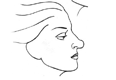 Как определить характер человека по форме носа