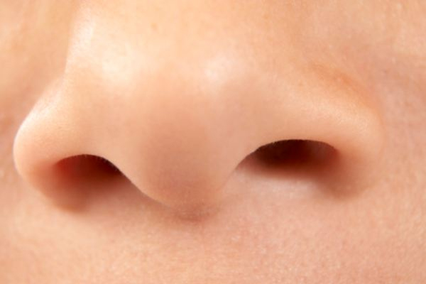 Как определить характер человека по форме носа