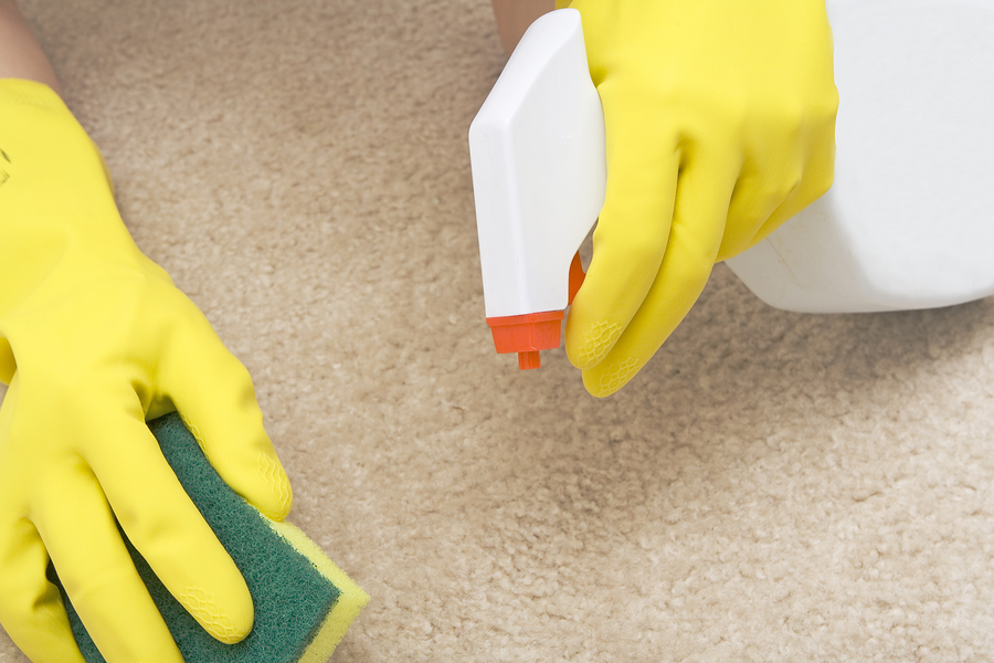 Средства от запаха кошачьей мочи для уборки квартиры