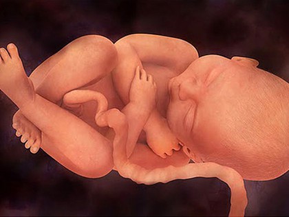 Беременность 39 недель – развитие плода и ощущения женщины