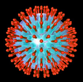 Вирус герпеса - его опасность для мужчин и женщин
