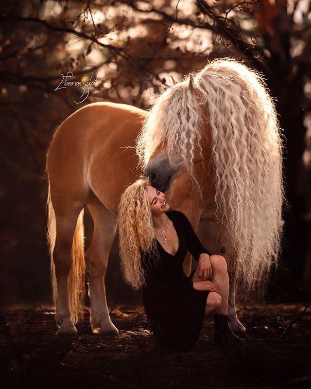Девушка поделилась фотографиями со своим величественным конем словно из сказки – и они похожи как близнецы