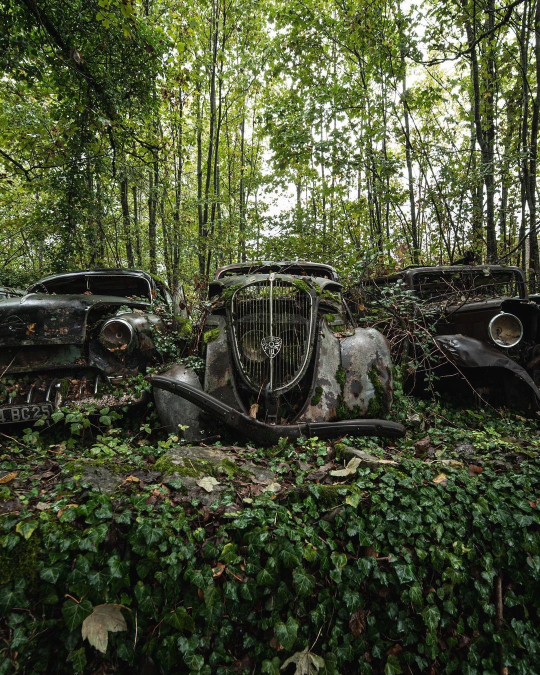 15+ фотографий заброшенных мест, созданных человеком, которые природа потихоньку забирает обратно